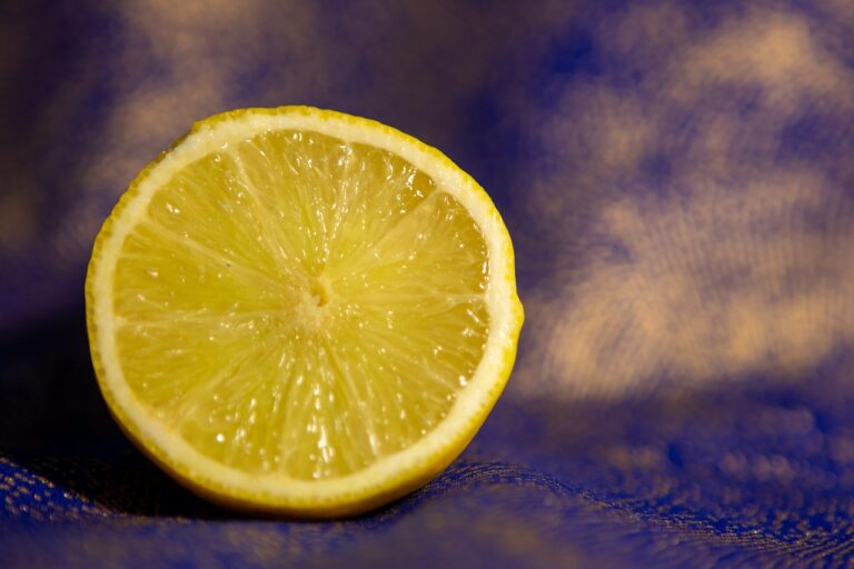Exploring the Health Benefits of Herbal Poultices for Pain Management