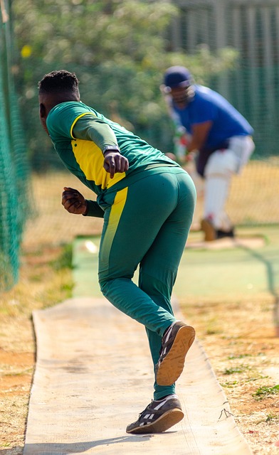 The Business of Cricket: Market Trends and Economic Insights