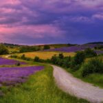 Circular Supply Chains: Reducing Waste in Auto Manufacturing: Betbhai9 id whatsapp number, Playexch login, Lotus 365 win