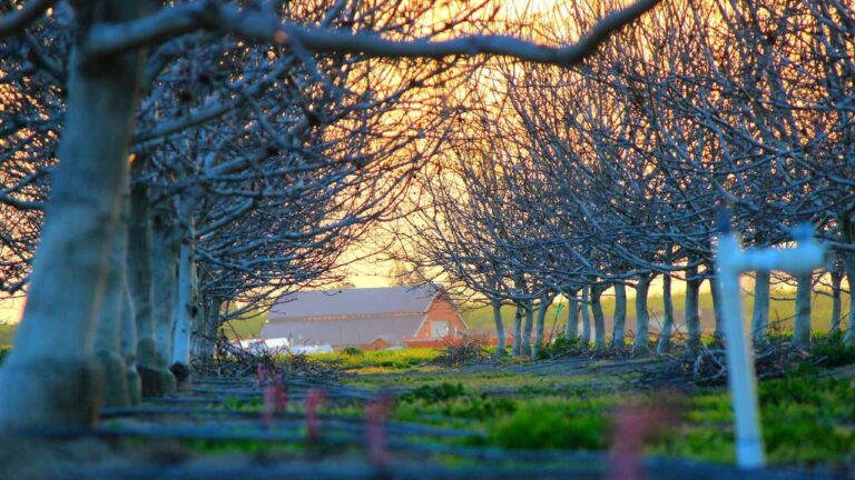 Is It Safe To Download Any Cricbet99 Hack Tools?