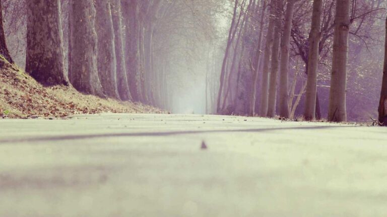 How To Reach Customer Care Through Https 11Xplay Com Pro?